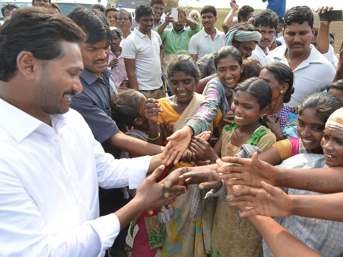 YSR Congress Party Celebrates 11th Formation Day - Sakshi11