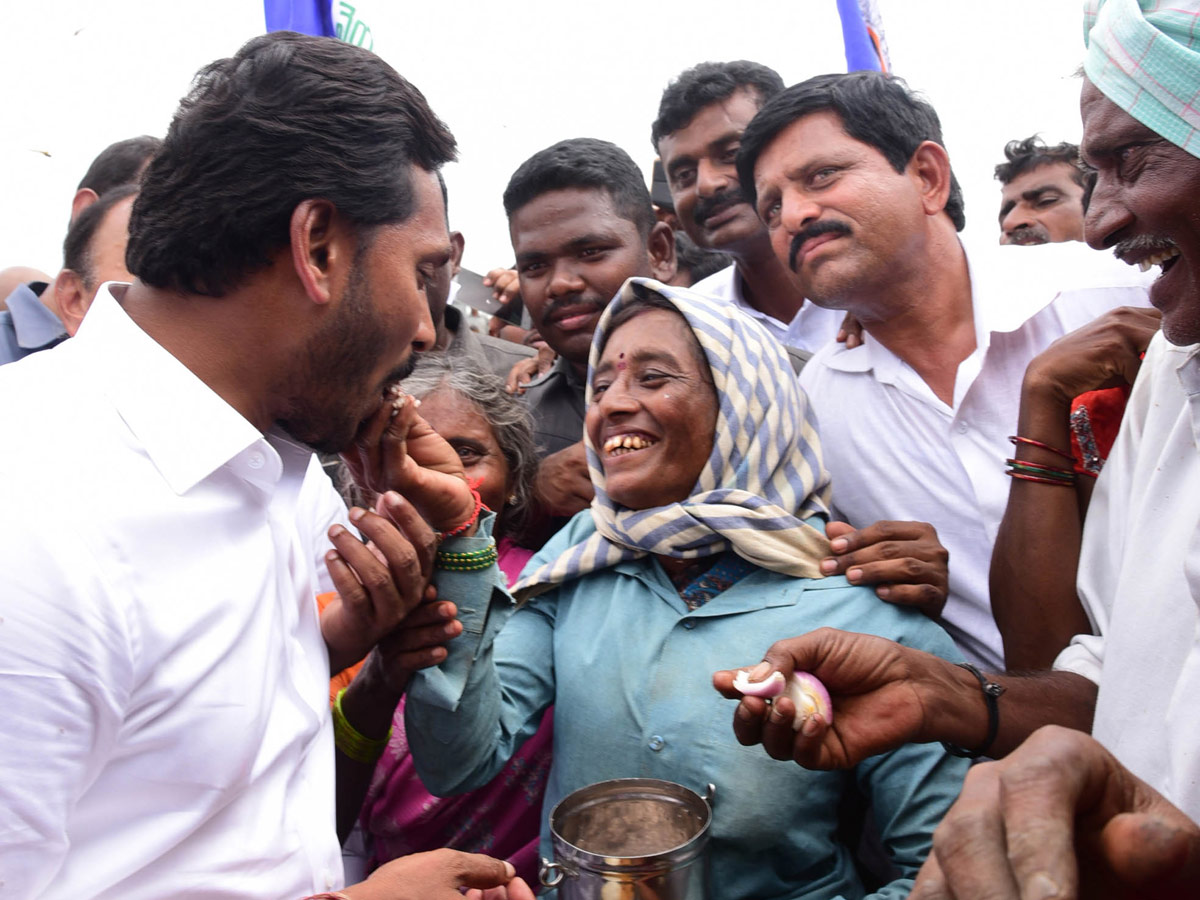YSR Congress Party Celebrates 11th Formation Day - Sakshi15