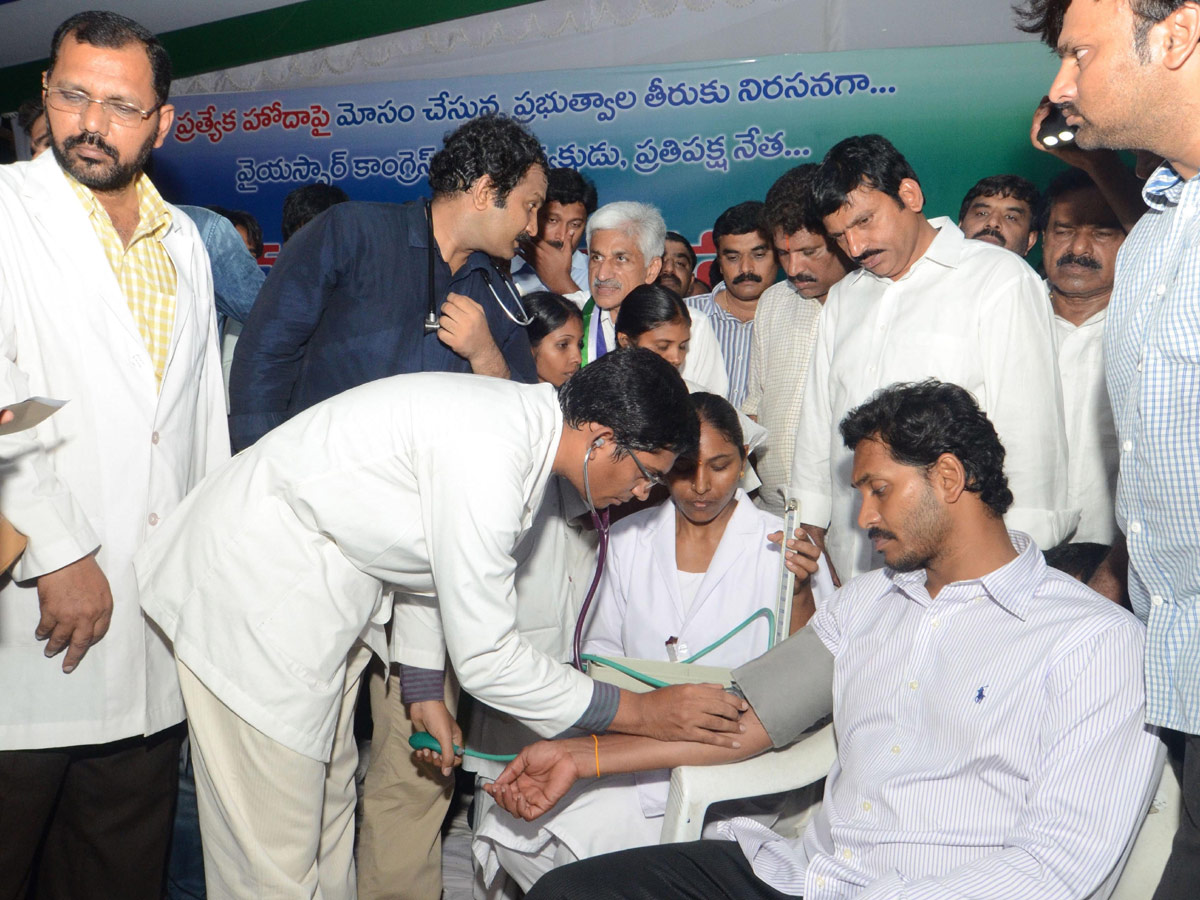 YSR Congress Party Celebrates 11th Formation Day - Sakshi8