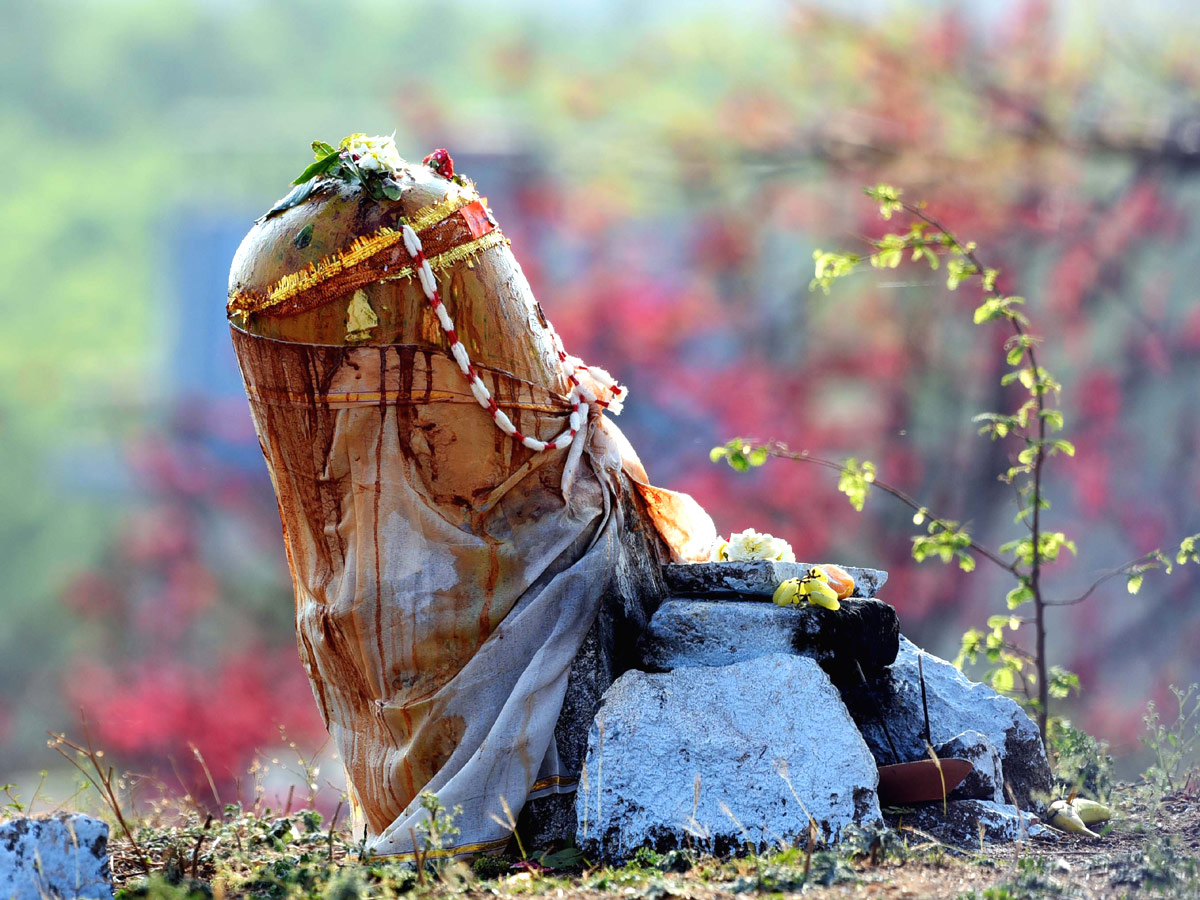 Best photos of the week March 14 to March 21,2021 Photo Gallery - Sakshi12