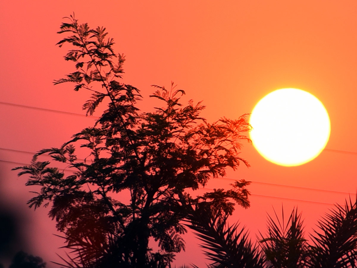Best photos of the week March 14 to March 21,2021 Photo Gallery - Sakshi40