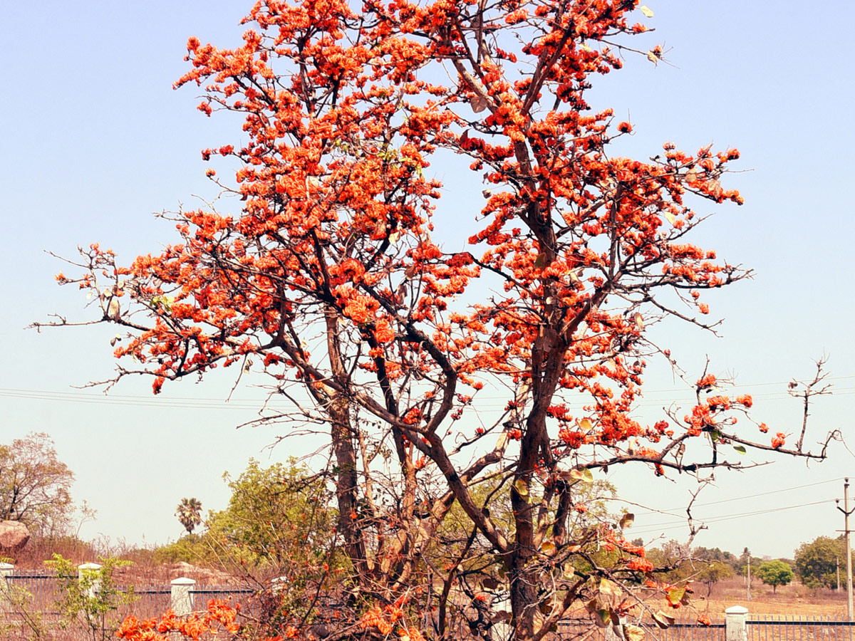 Best photos of the week March 14 to March 21,2021 Photo Gallery - Sakshi41
