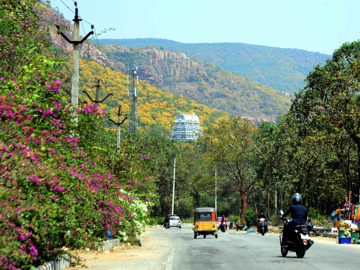 Best photos of the week March 14 to March 21,2021 Photo Gallery - Sakshi48