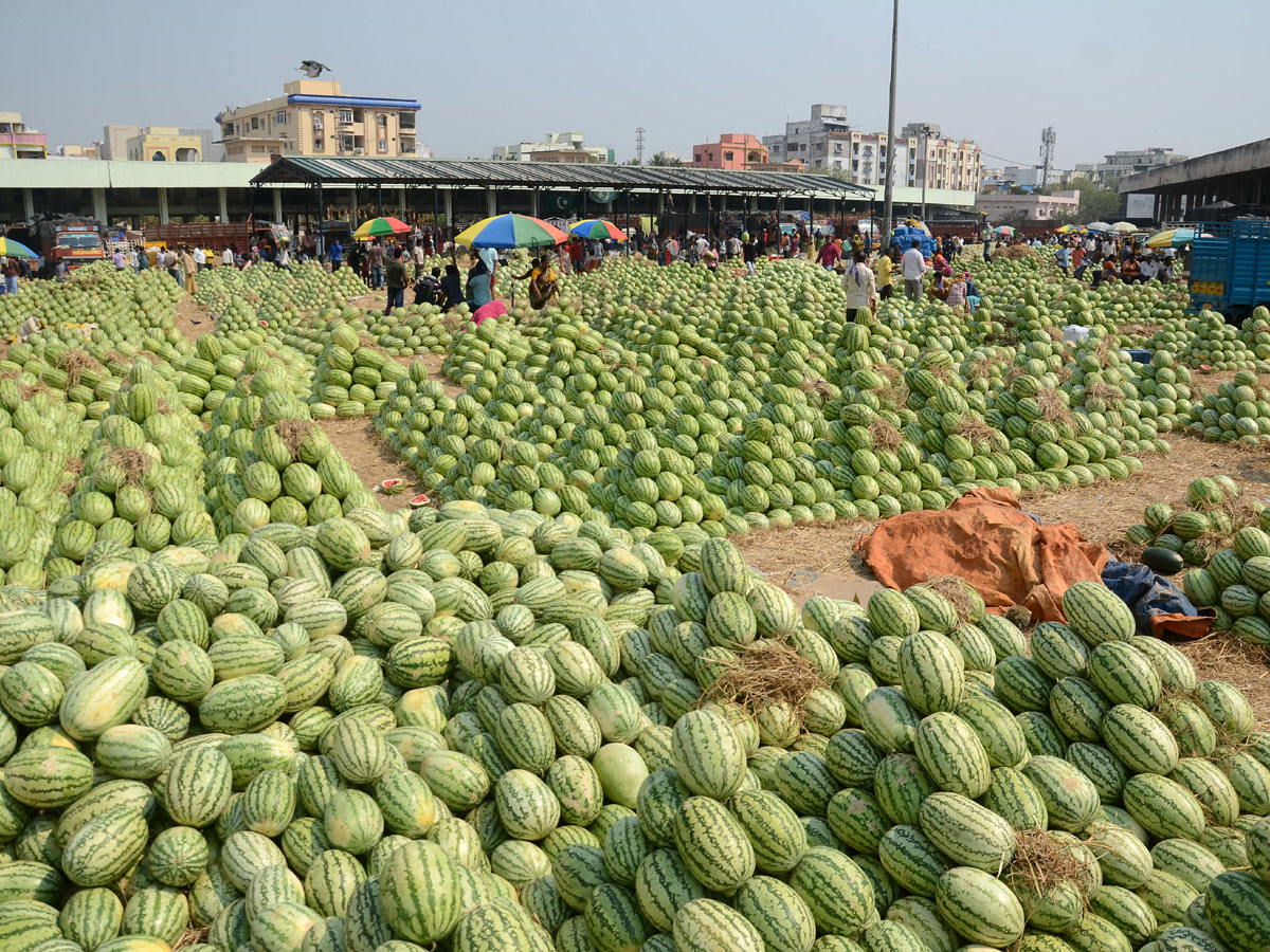 Best photos of the week March 21 to March 28, 2021 Photo Gallery - Sakshi11