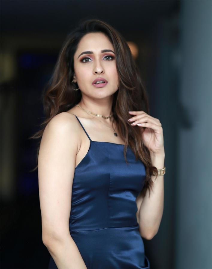 Pragya Jaiswal New Photo Gallery - Sakshi15