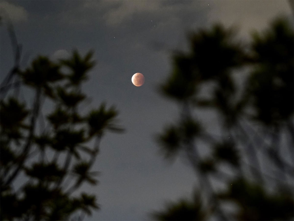 Super Blood Moon photo Gallery - Sakshi18