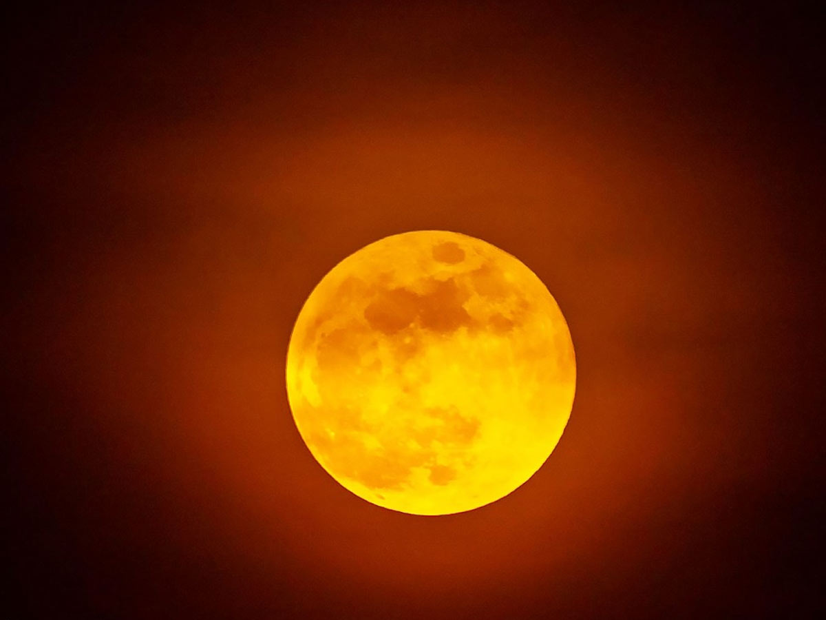 Super Blood Moon photo Gallery - Sakshi26