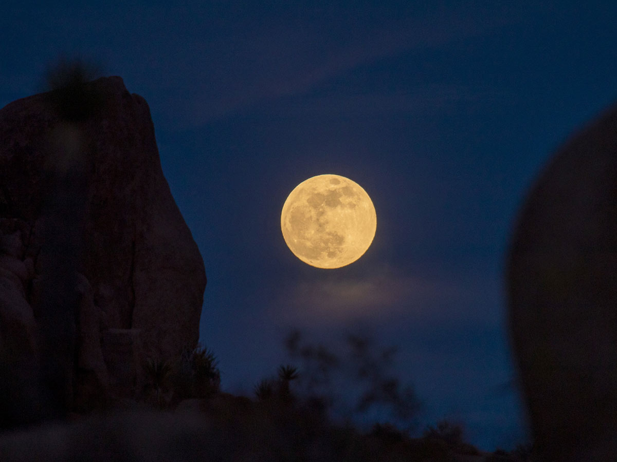 Super Blood Moon photo Gallery - Sakshi30