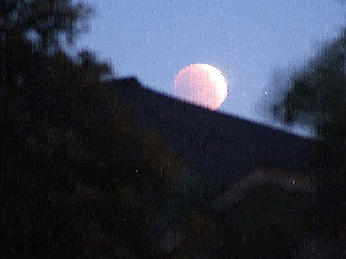 Super Blood Moon photo Gallery - Sakshi35