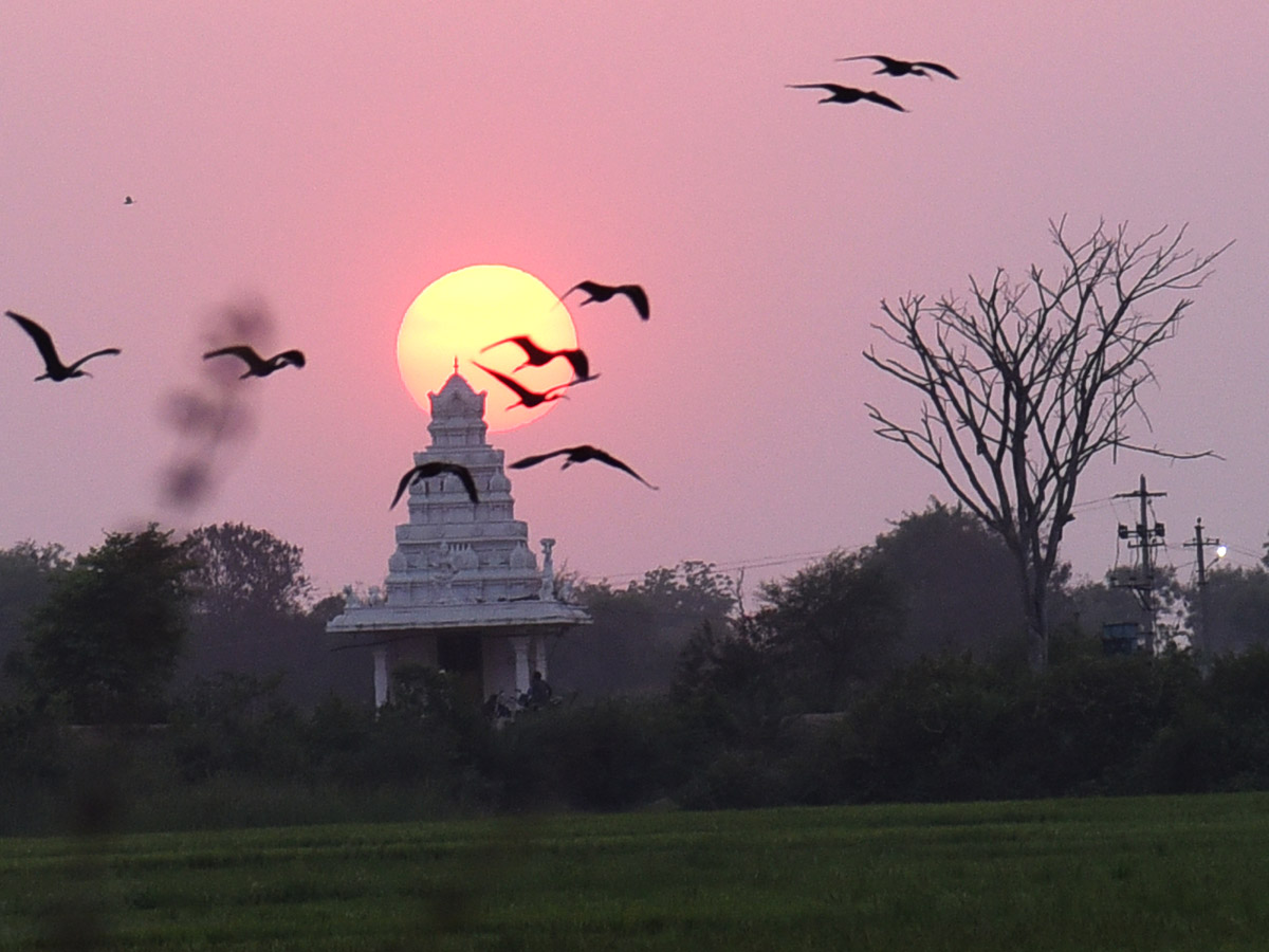 Best photos of the week May 02 to May 09, 2021 Photo Gallery - Sakshi41