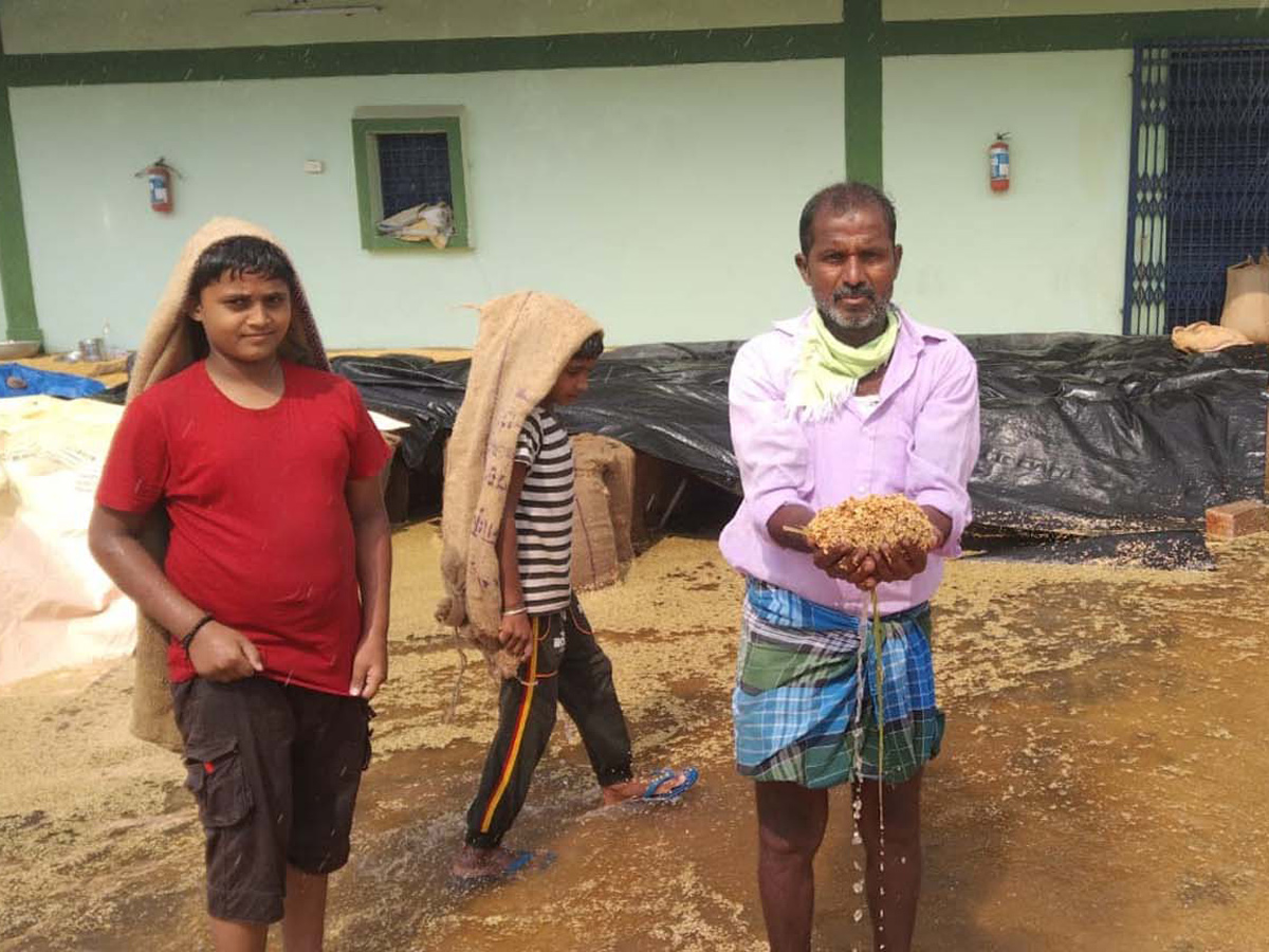  Farmers Huge Crop Loss due to Rains  - Sakshi5