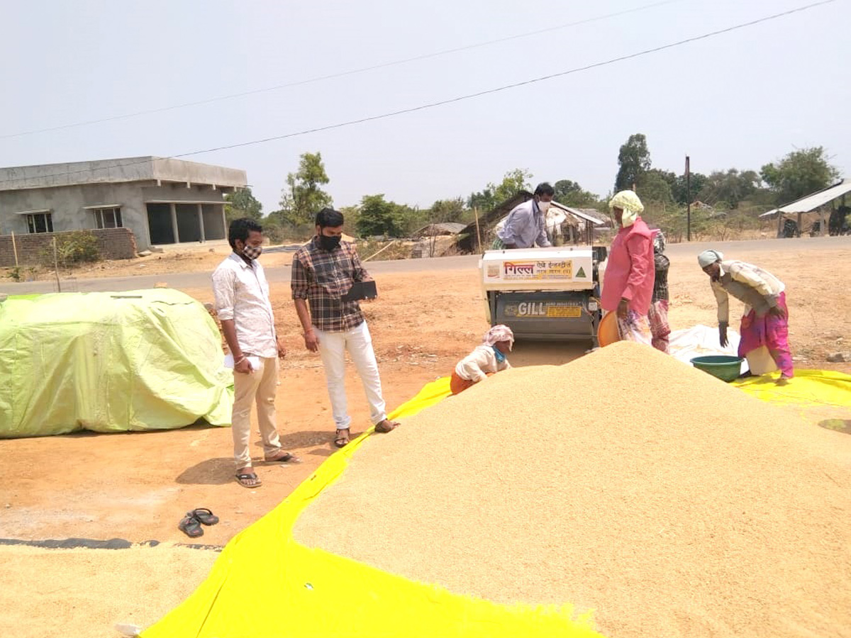  Farmers Huge Crop Loss due to Rains  - Sakshi12