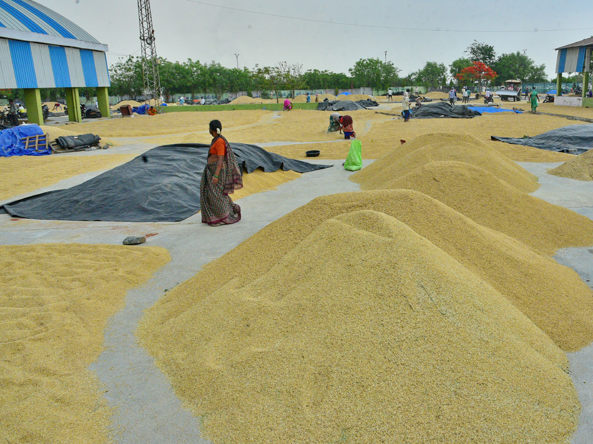  Farmers Huge Crop Loss due to Rains  - Sakshi15