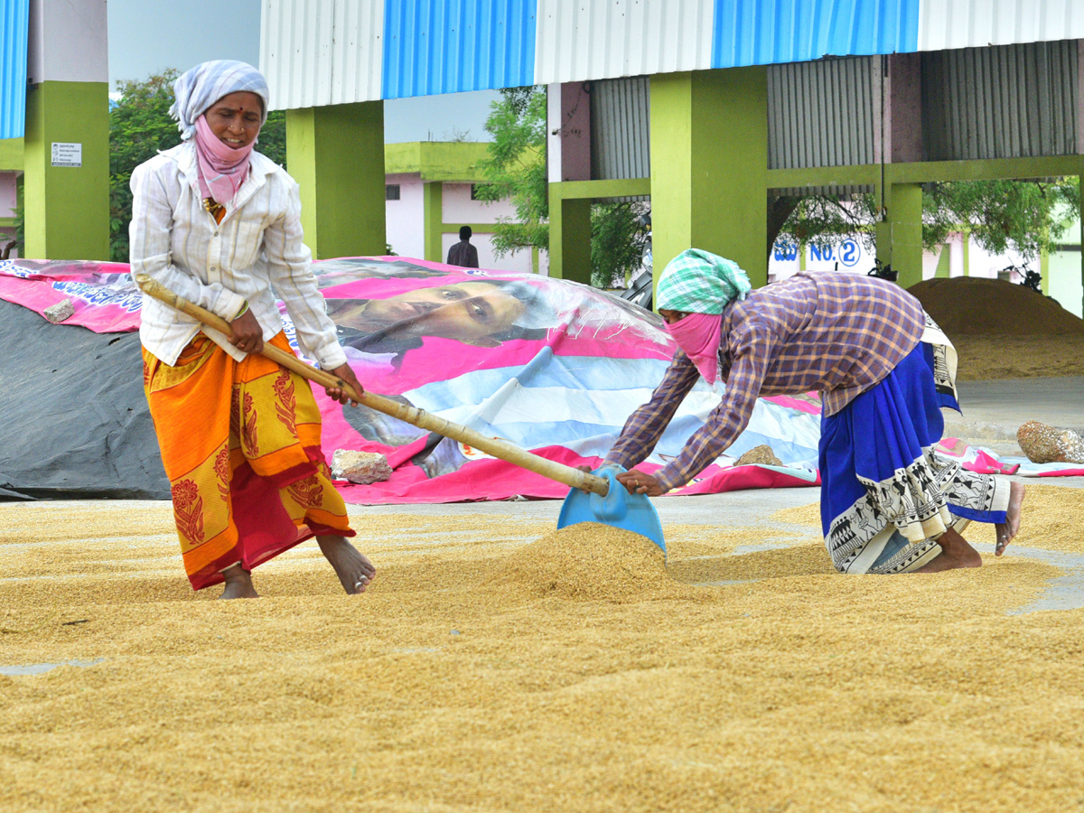  Farmers Huge Crop Loss due to Rains  - Sakshi16
