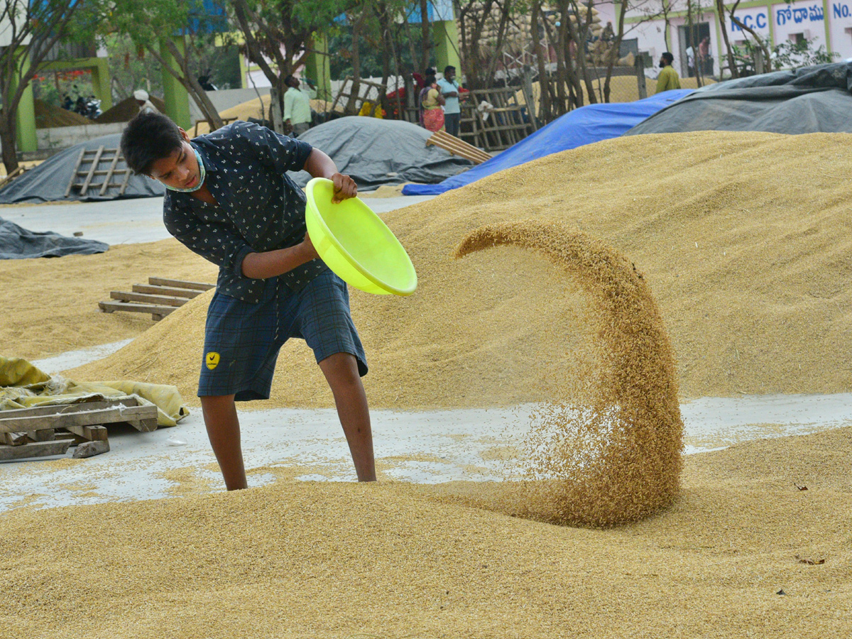  Farmers Huge Crop Loss due to Rains  - Sakshi17