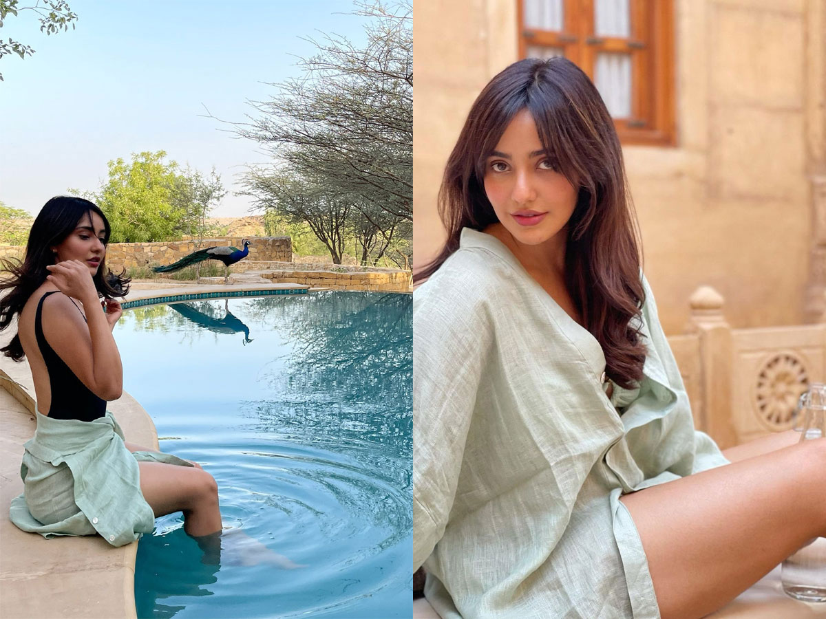 Neha Sharma Latest Photo Gallery - Sakshi1