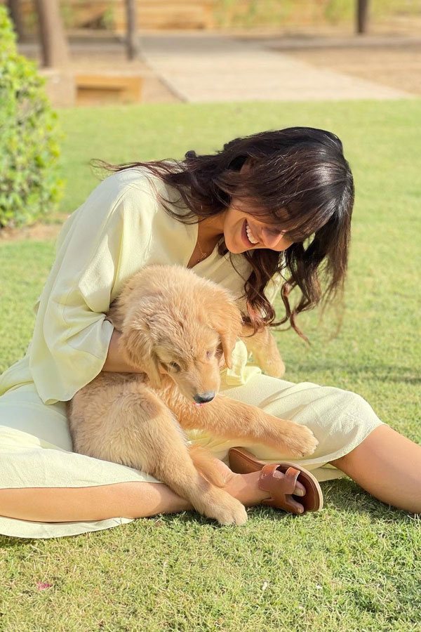 Neha Sharma Latest Photo Gallery - Sakshi6