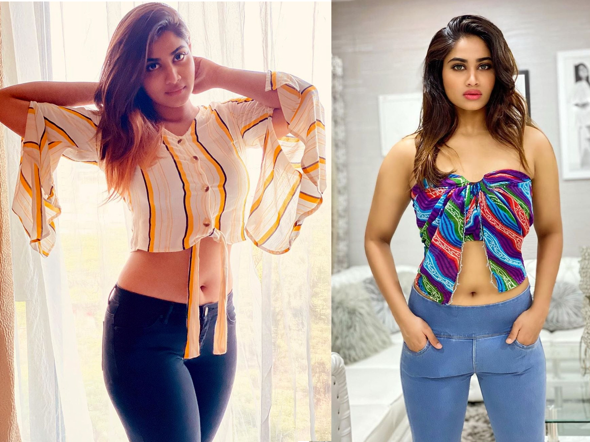 Actress Shivani Narayanan Beautiful Photos - Sakshi1