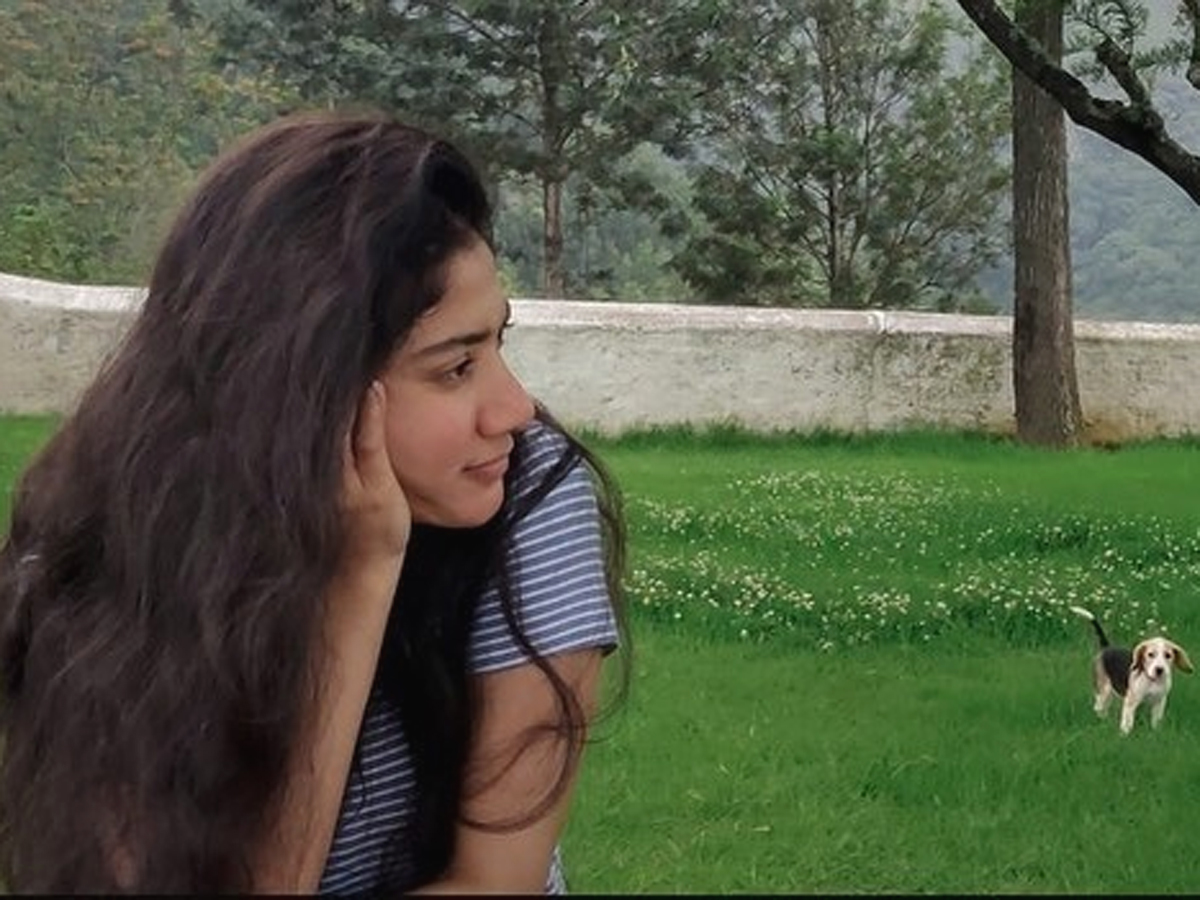 Sai Pallavi Birthday Special Photo Gallery - Sakshi7