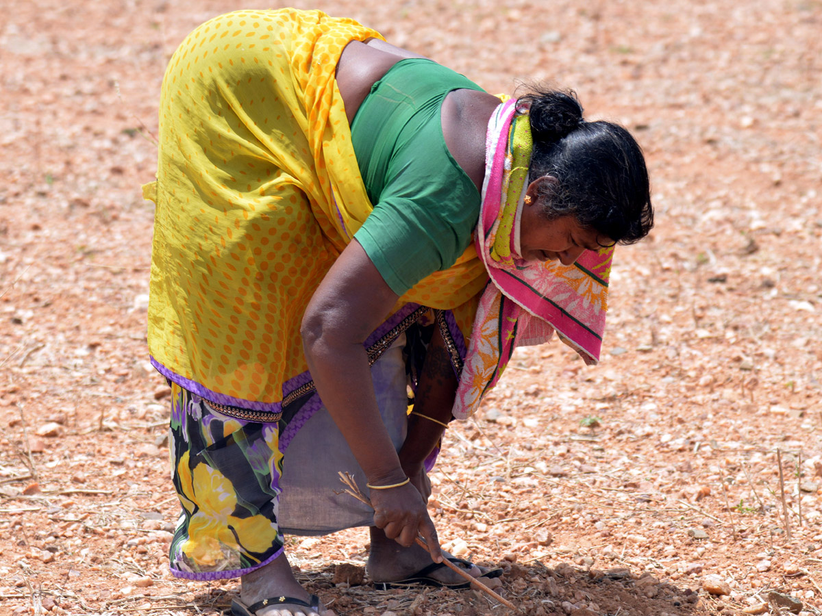 Diamonds Found In Jonnagiri Kurnool District - Sakshi14