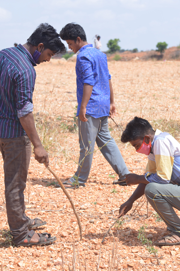 Diamonds Found In Jonnagiri Kurnool District - Sakshi18