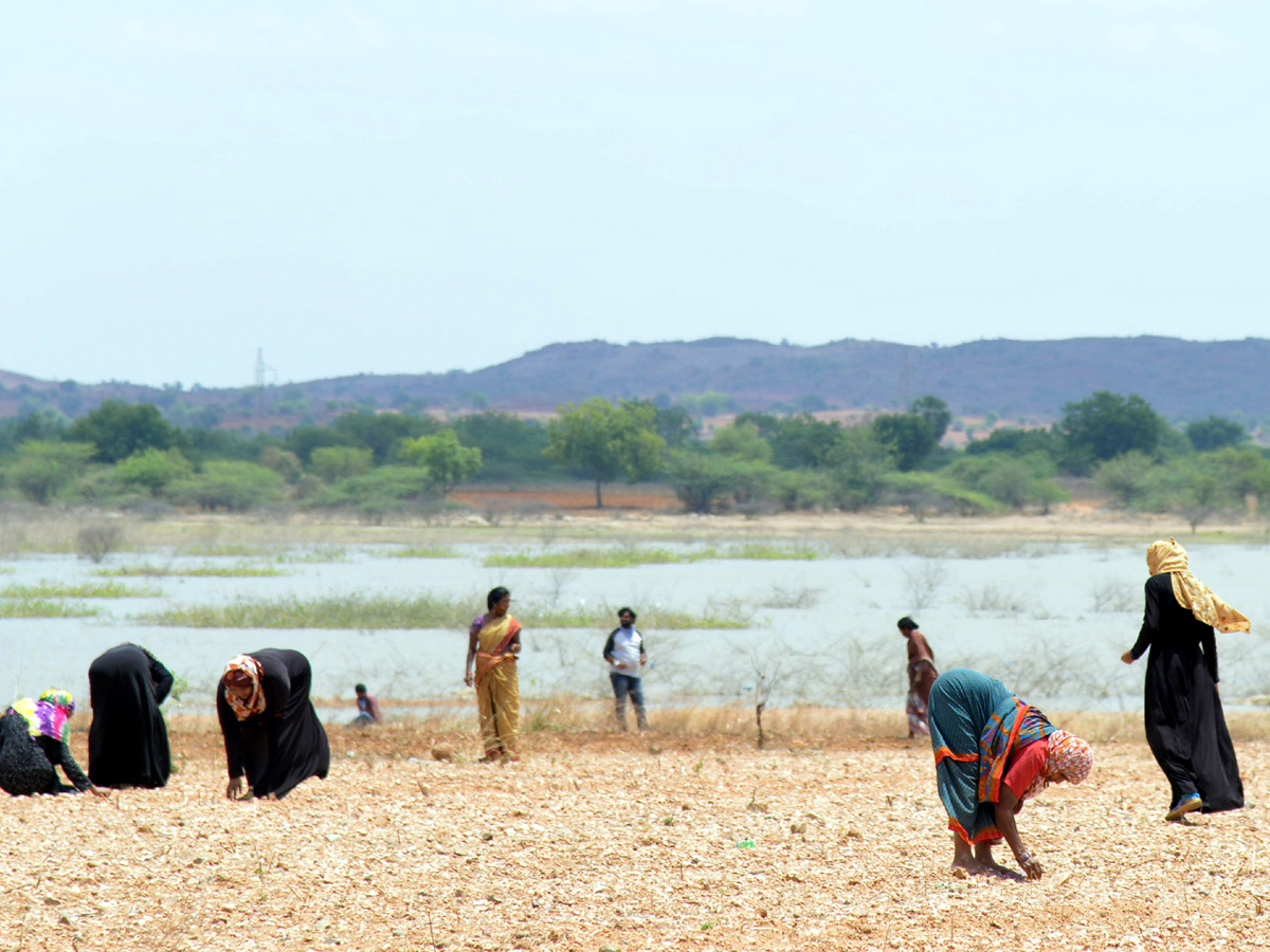 Diamonds Found In Jonnagiri Kurnool District - Sakshi4