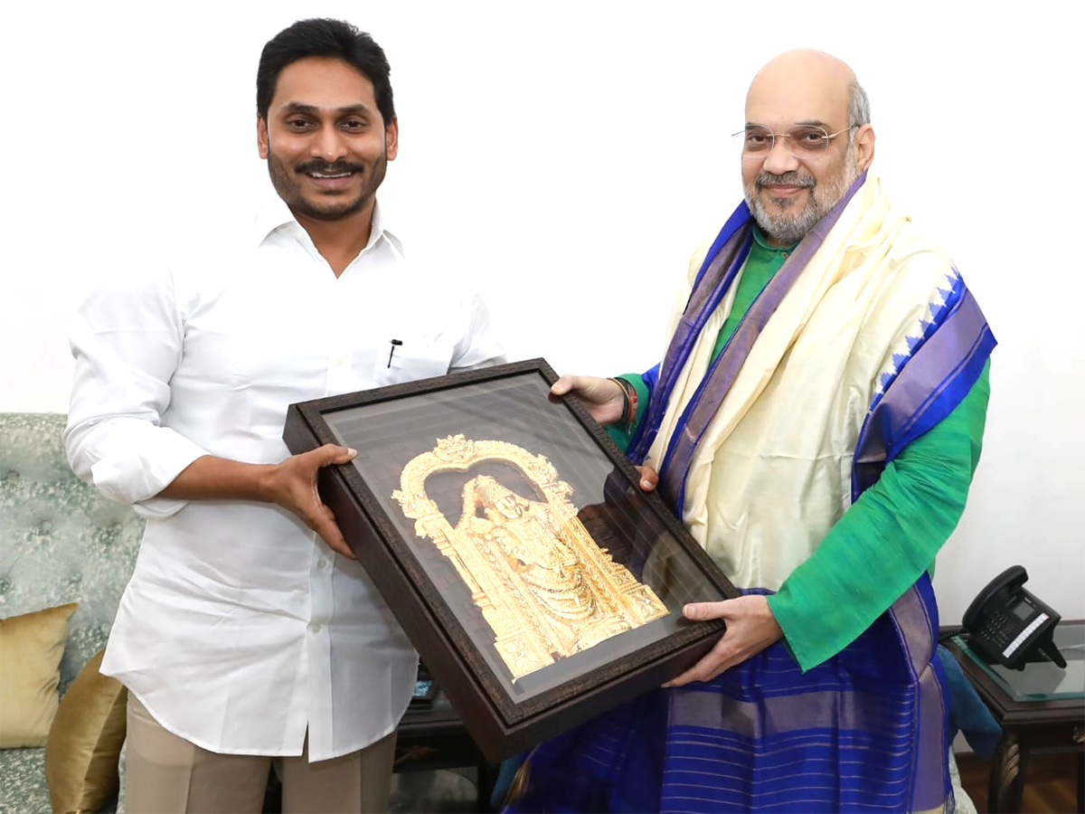 AP CM YS Jagan Mohan Reddy Delhi Tour - Sakshi5