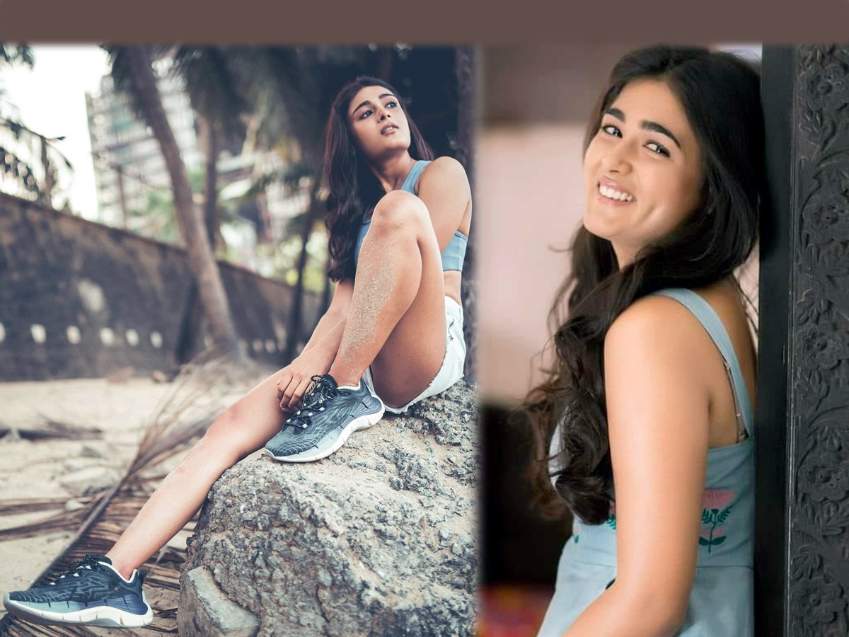 Shalini pandey latest Photo Gallery - Sakshi1