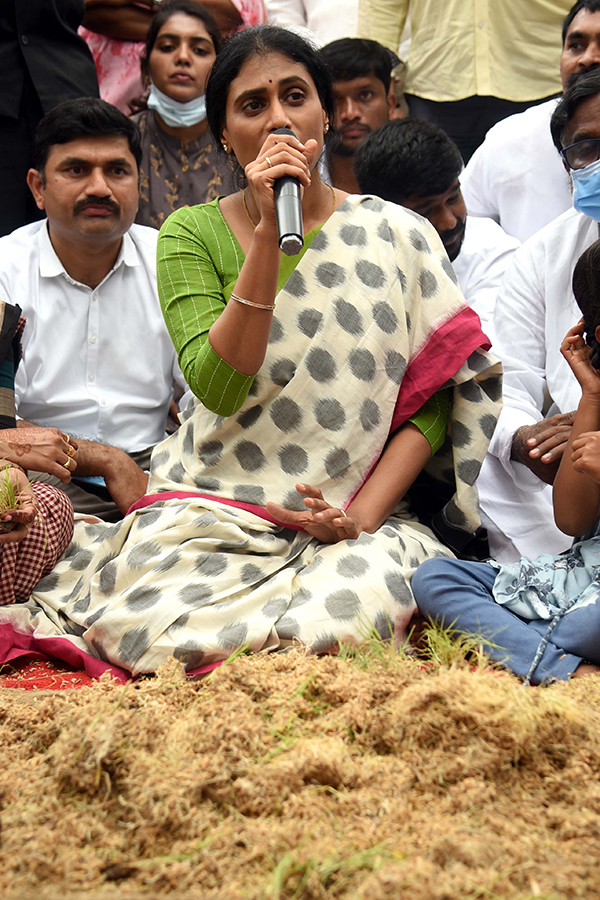 YS Sharmila To Visited Palepalli Village Vikarabad On Farmers Issues - Sakshi20