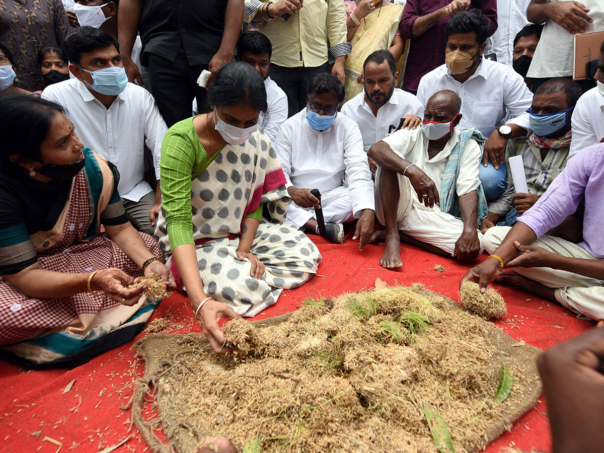 YS Sharmila To Visited Palepalli Village Vikarabad On Farmers Issues - Sakshi3