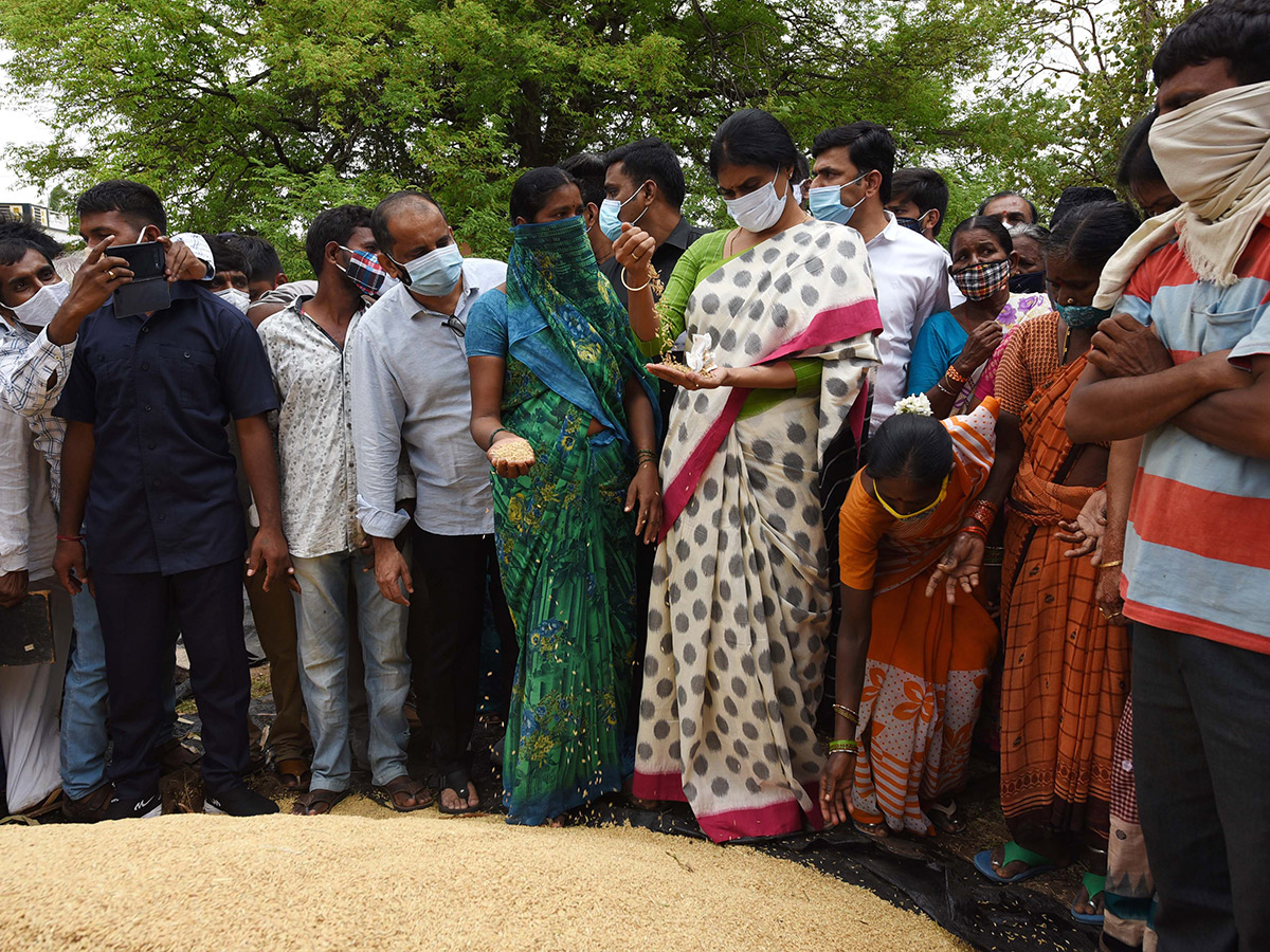 YS Sharmila To Visited Palepalli Village Vikarabad On Farmers Issues - Sakshi4