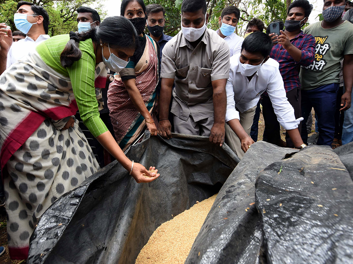 YS Sharmila To Visited Palepalli Village Vikarabad On Farmers Issues - Sakshi5