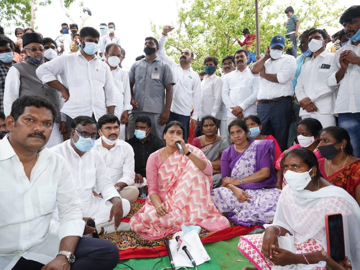 ys sharmila Huzurnagar Visit Photos - Sakshi18