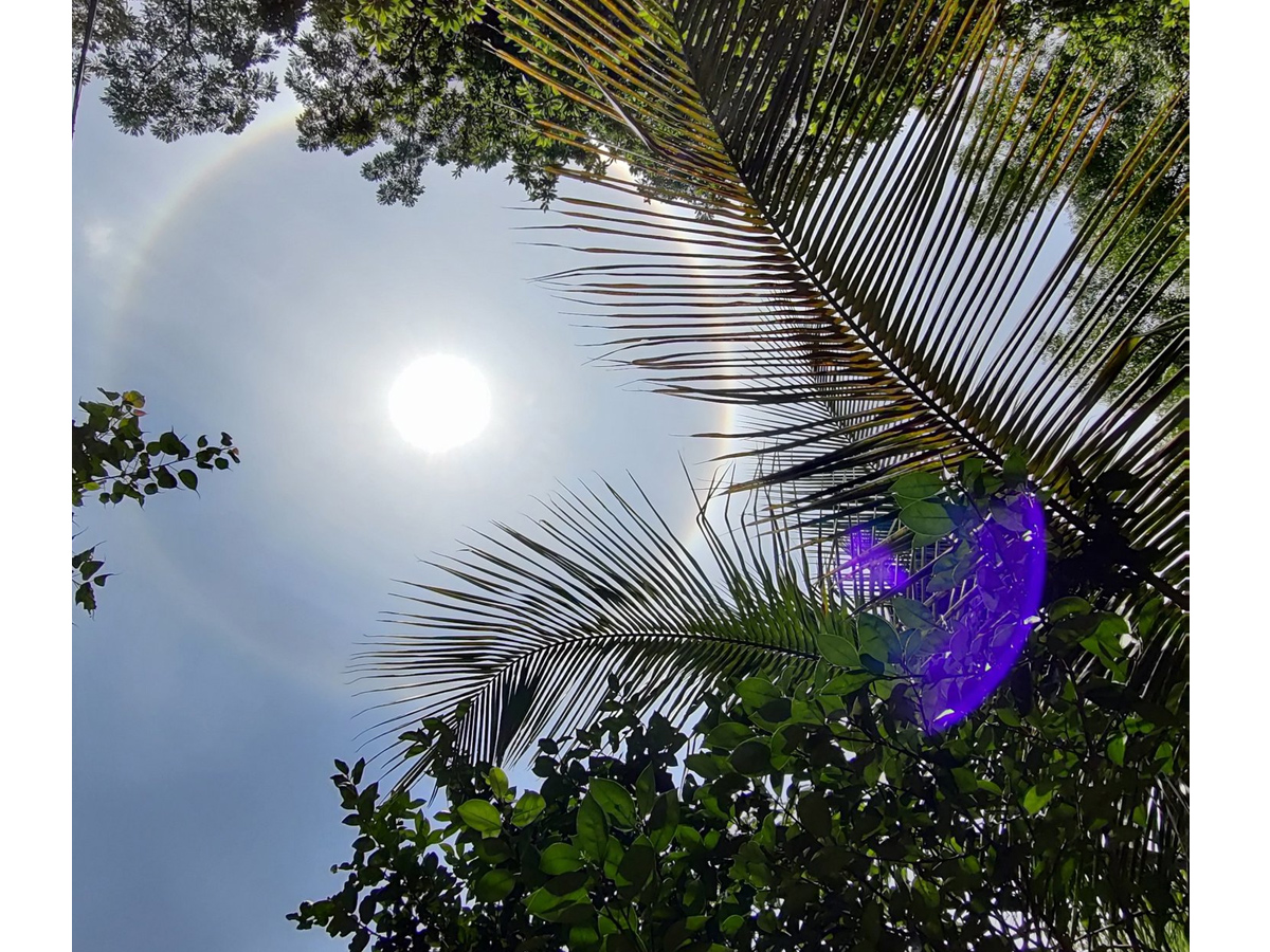 Rainbow halo around sun in Hyderabad Photo Gallery - Sakshi3
