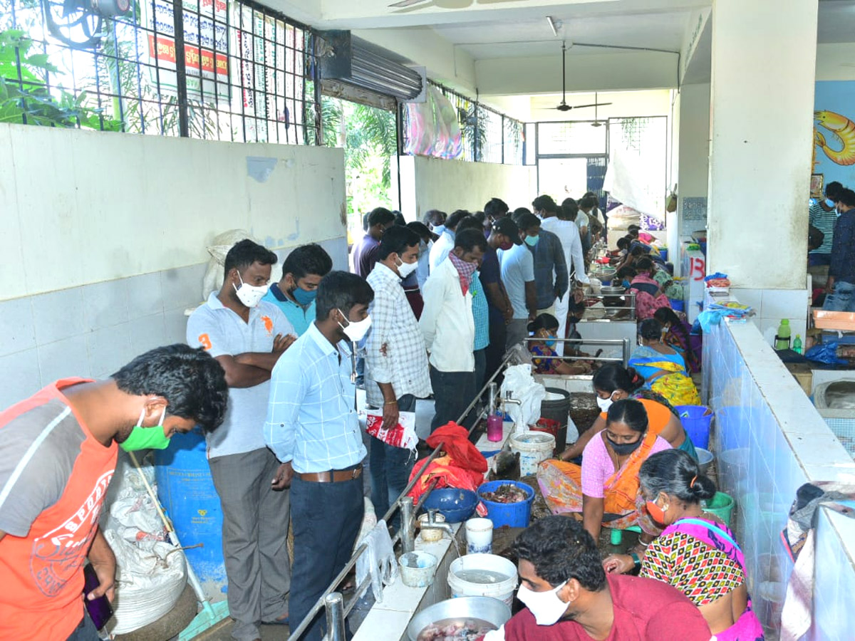 Huge Rush At Fish Market On Occasion Of Mrigasira Karthi - Sakshi11