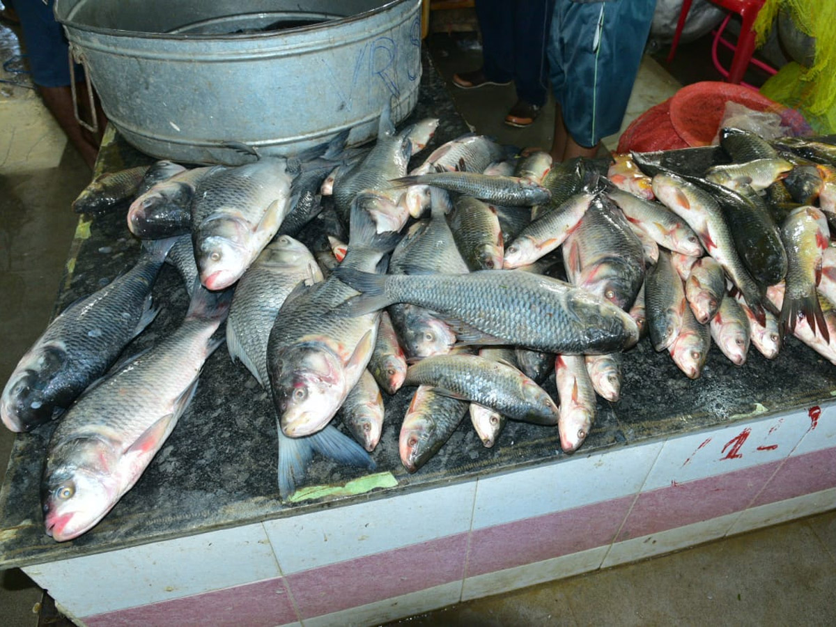 Huge Rush At Fish Market On Occasion Of Mrigasira Karthi - Sakshi12
