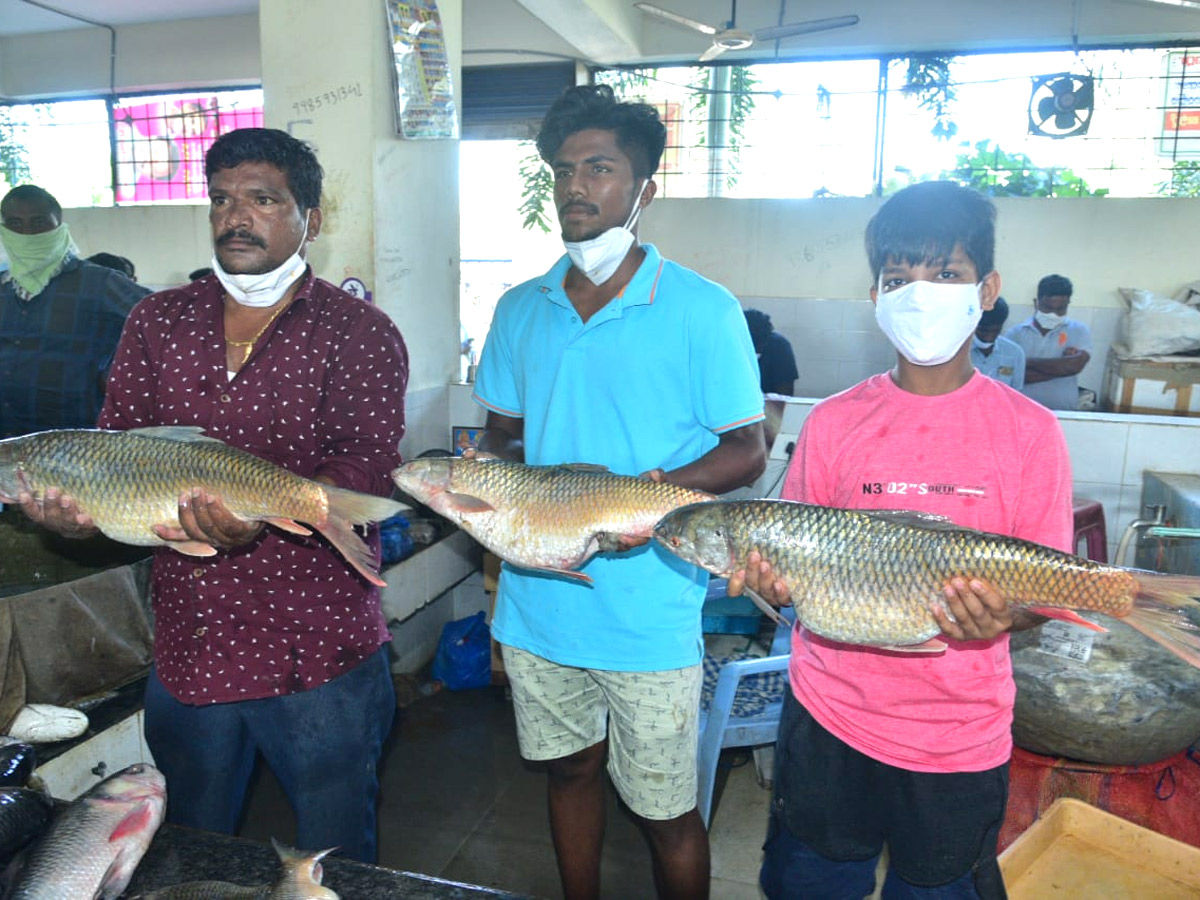 Huge Rush At Fish Market On Occasion Of Mrigasira Karthi - Sakshi14