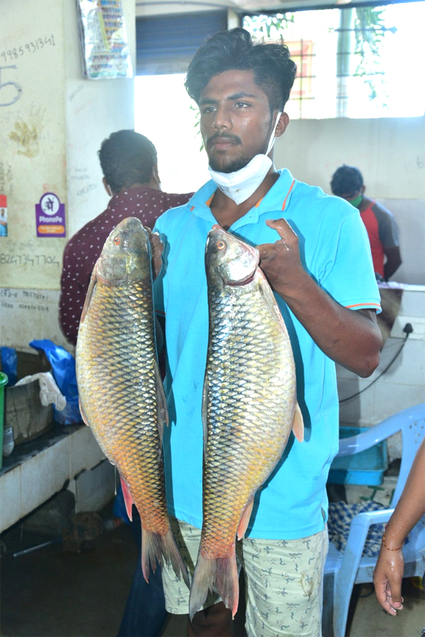 Huge Rush At Fish Market On Occasion Of Mrigasira Karthi - Sakshi16