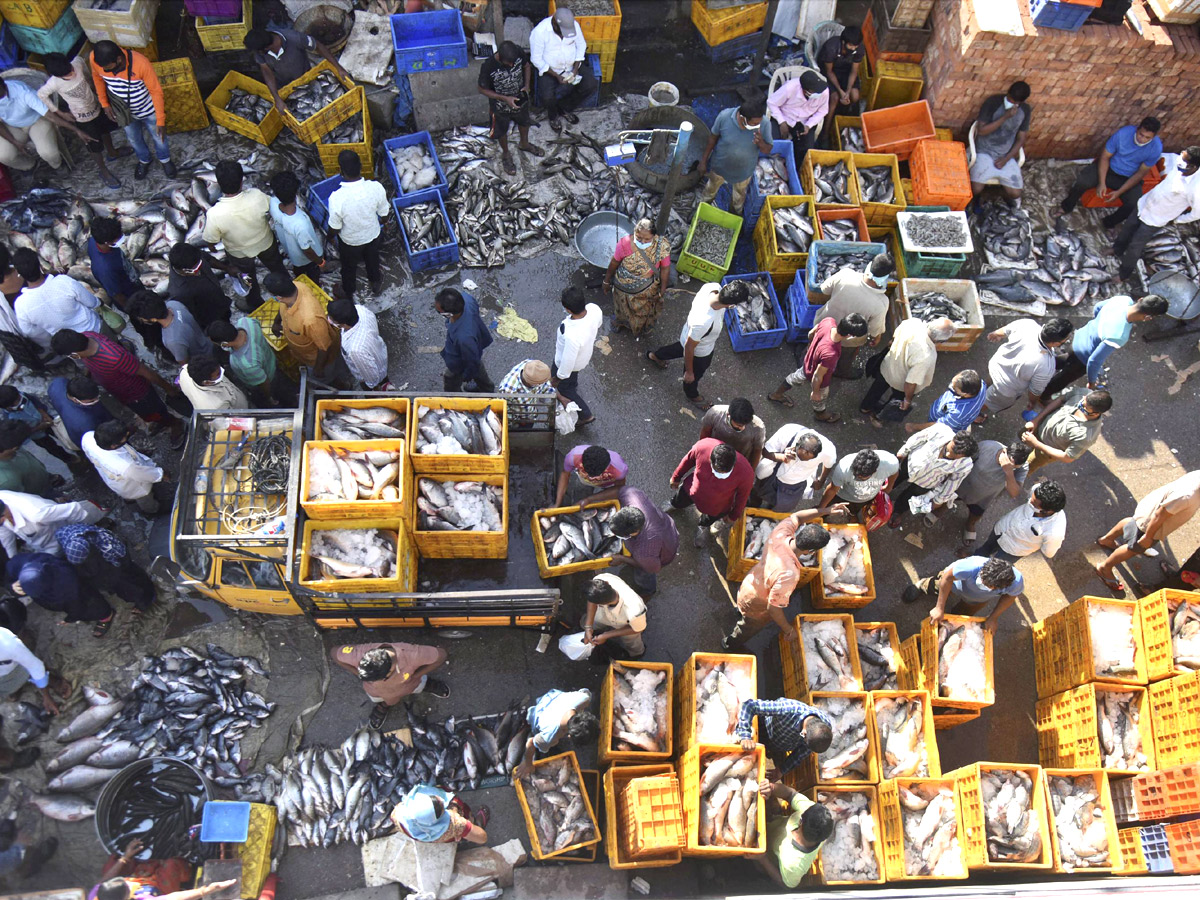 Huge Rush At Fish Market On Occasion Of Mrigasira Karthi - Sakshi2