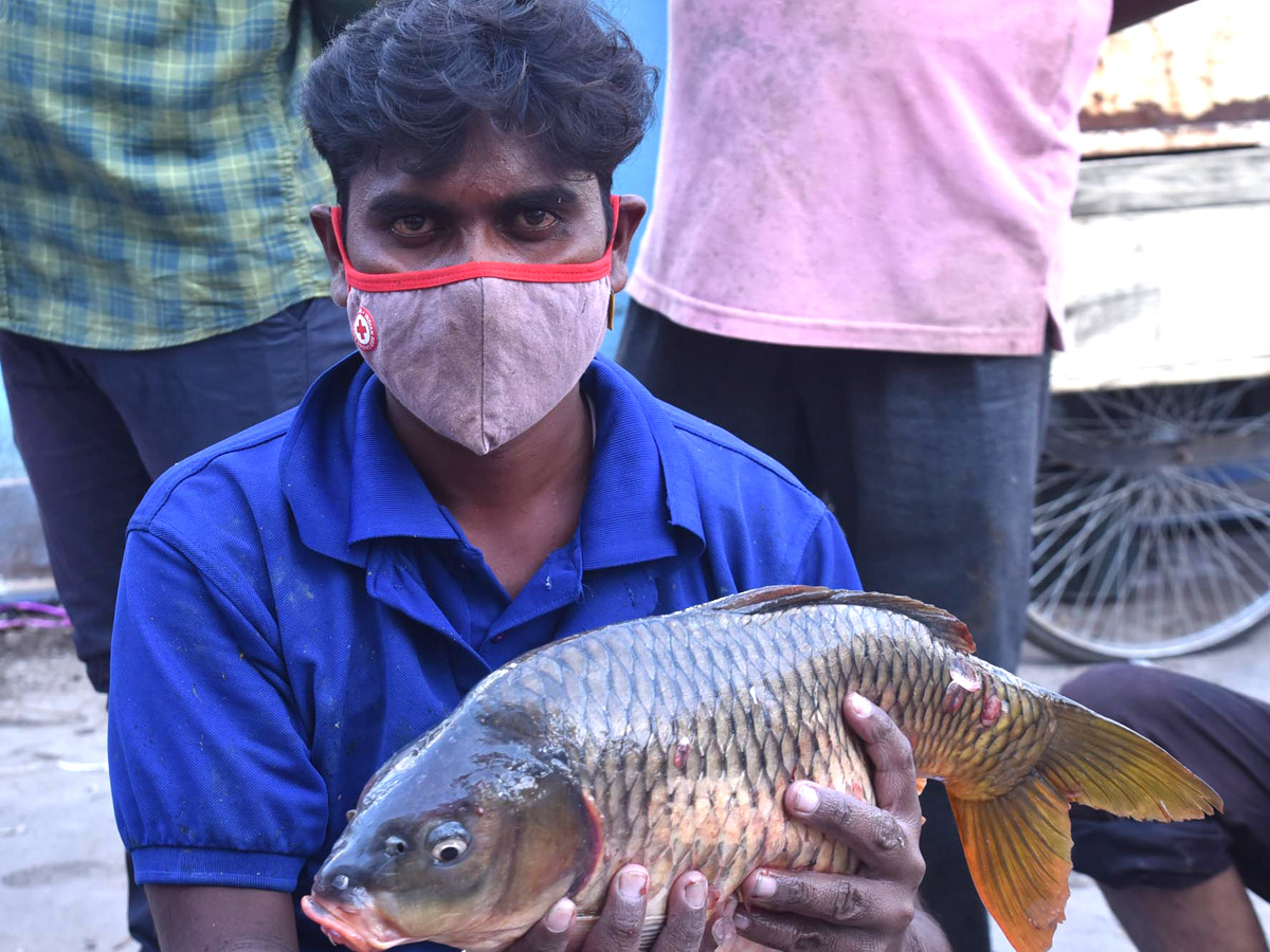 Huge Rush At Fish Market On Occasion Of Mrigasira Karthi - Sakshi6