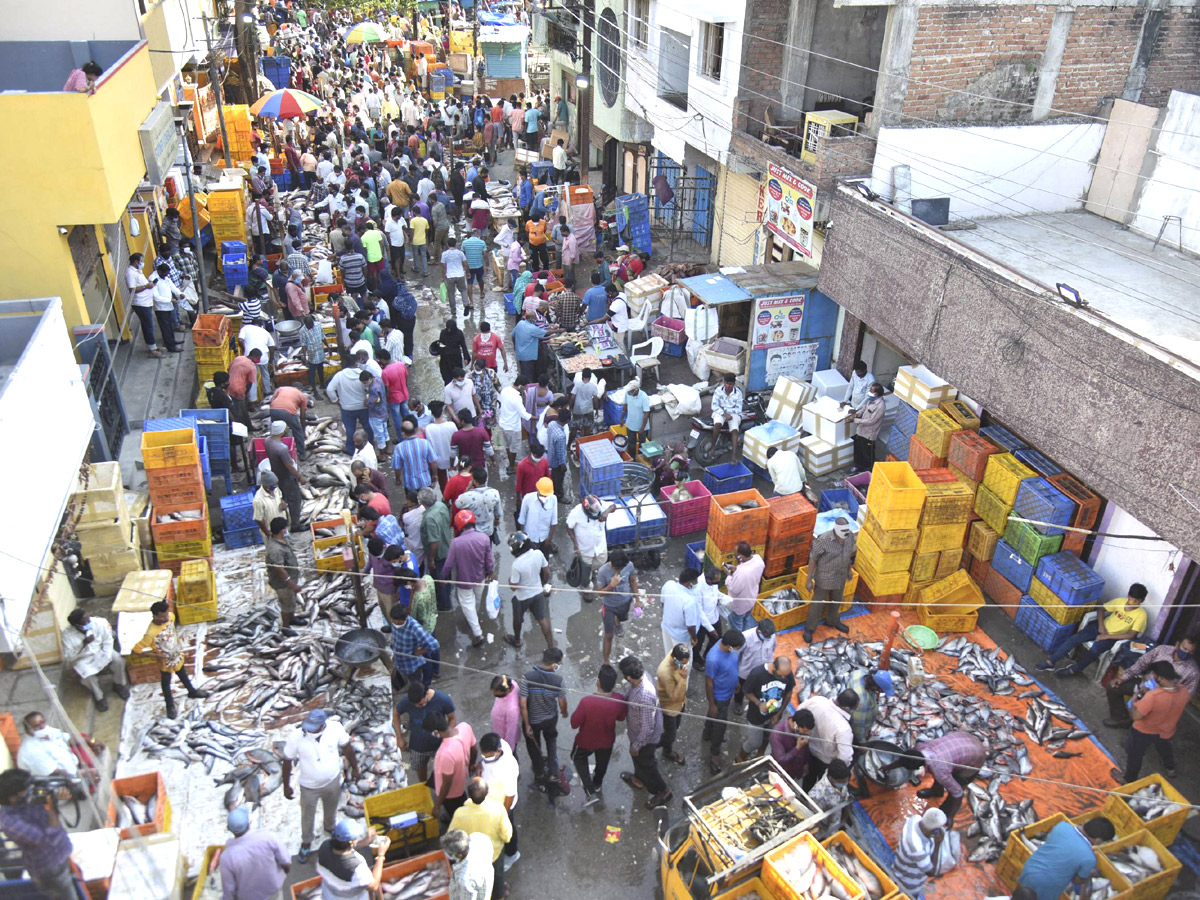Huge Rush At Fish Market On Occasion Of Mrigasira Karthi - Sakshi8