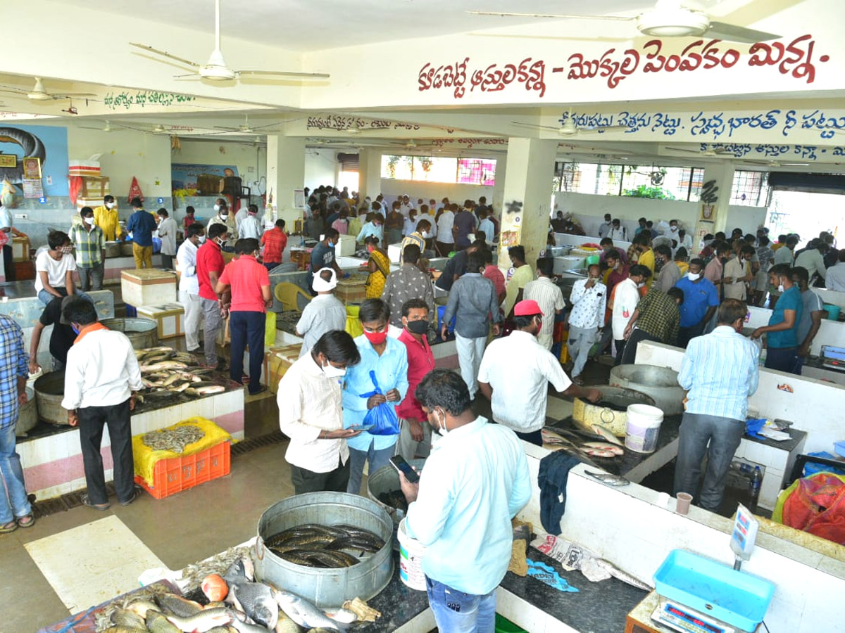 Huge Rush At Fish Market On Occasion Of Mrigasira Karthi - Sakshi9