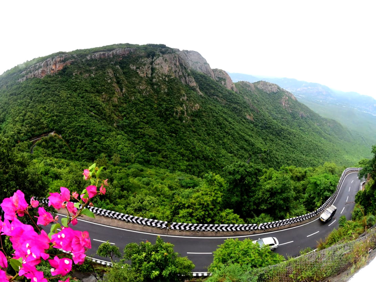 Seshachalam Hills Pics - Sakshi1