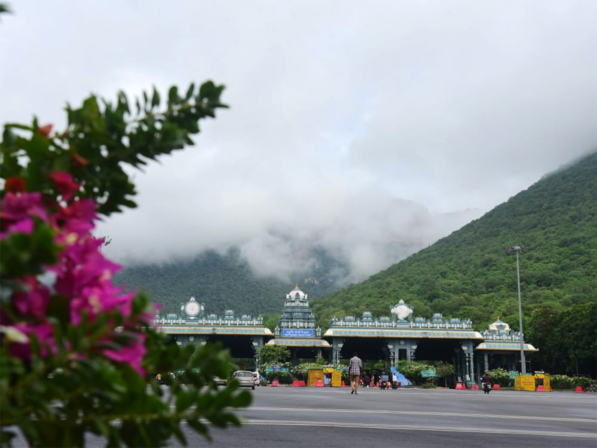 Seshachalam Hills Pics - Sakshi11