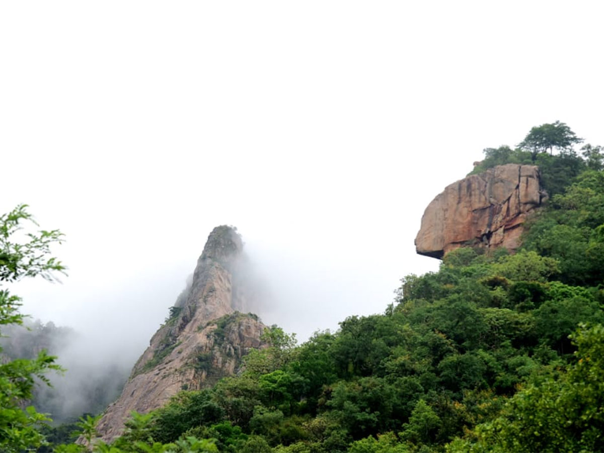 Seshachalam Hills Pics - Sakshi4