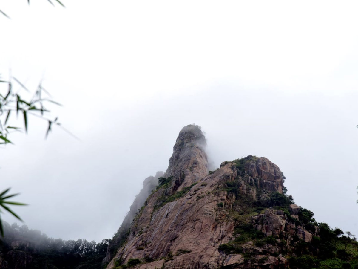 Seshachalam Hills Pics - Sakshi5