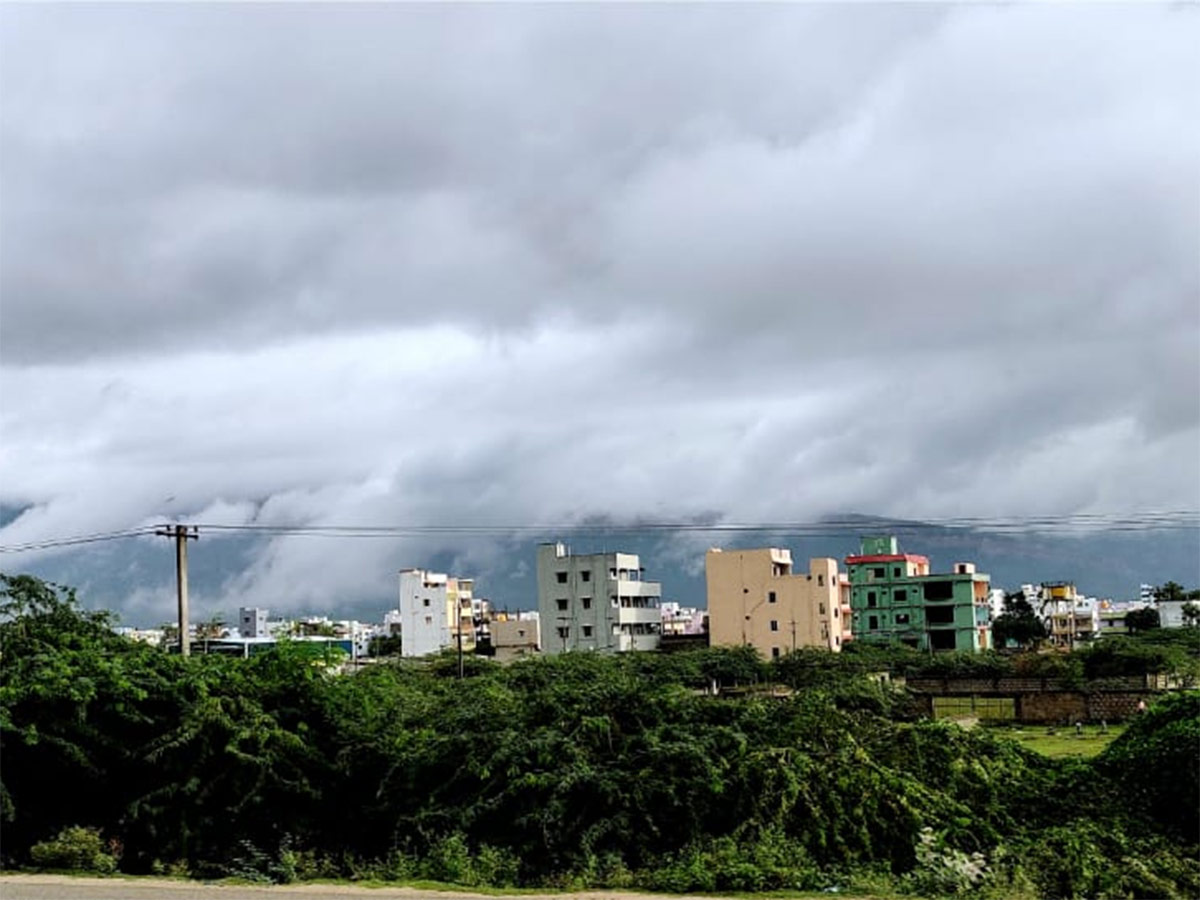 Seshachalam Hills Pics - Sakshi6