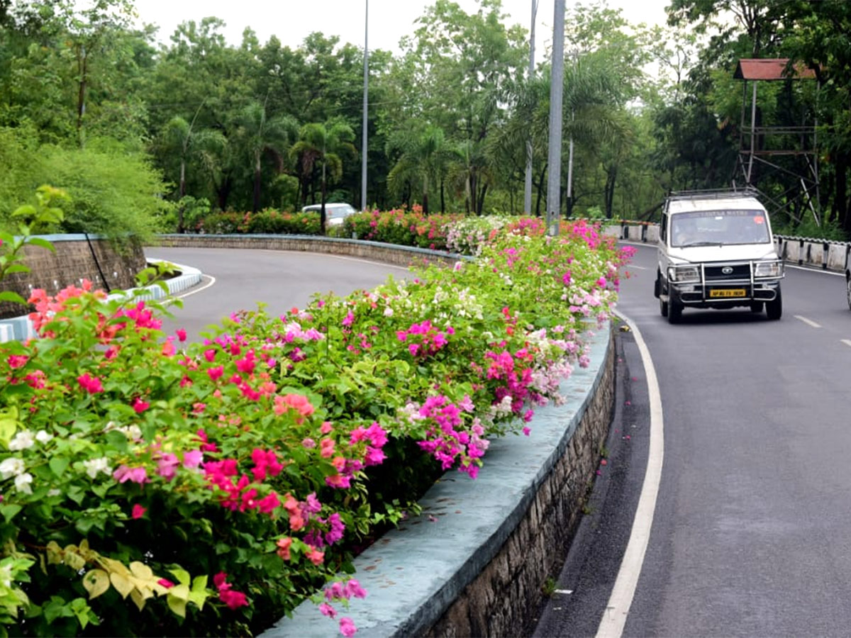 Seshachalam Hills Pics - Sakshi8