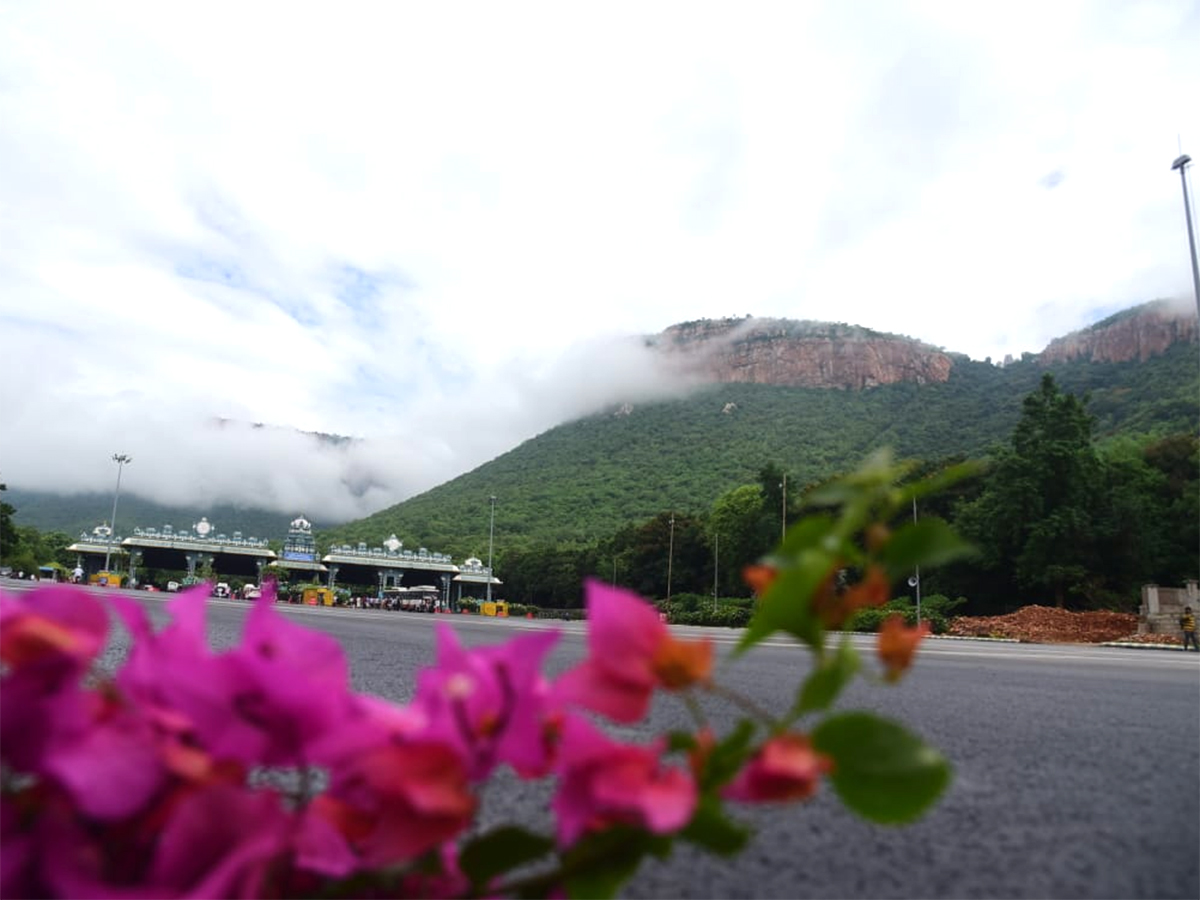 Seshachalam Hills Pics - Sakshi9