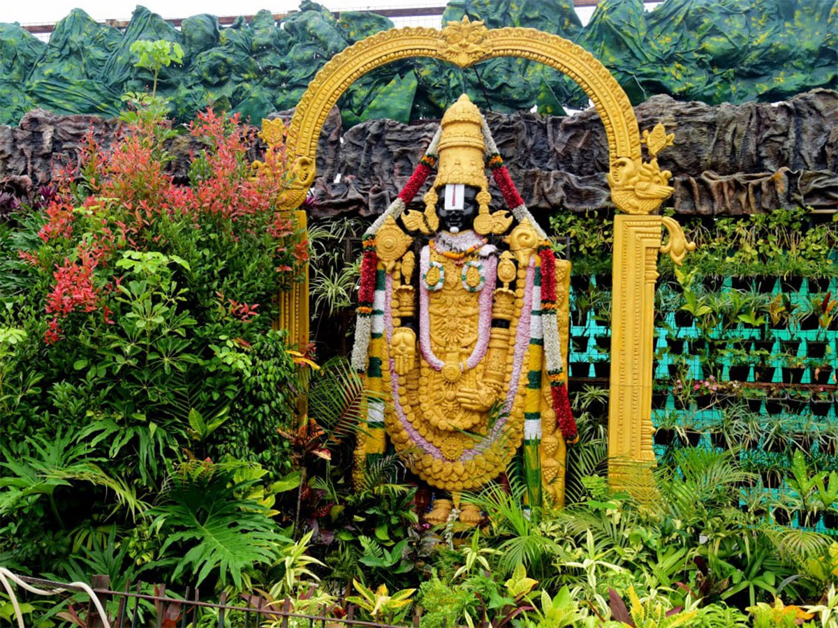 Seshachalam Hills Pics - Sakshi13